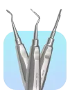 fave-cat-tools-v2